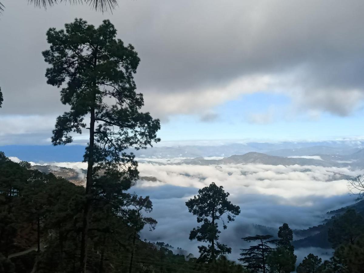 The Ranikhet Continental Hotel Ngoại thất bức ảnh